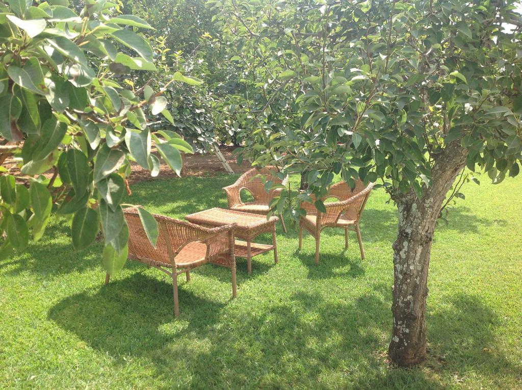 Agriturismo L'Agrumeto โอตรันโต ภายนอก รูปภาพ